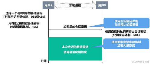 計算機(jī)網(wǎng)絡(luò)開發(fā)與服務(wù)中的網(wǎng)絡(luò)安全 守護(hù)數(shù)字世界的基石